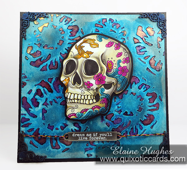 2013_09_27_scacd_zenskull