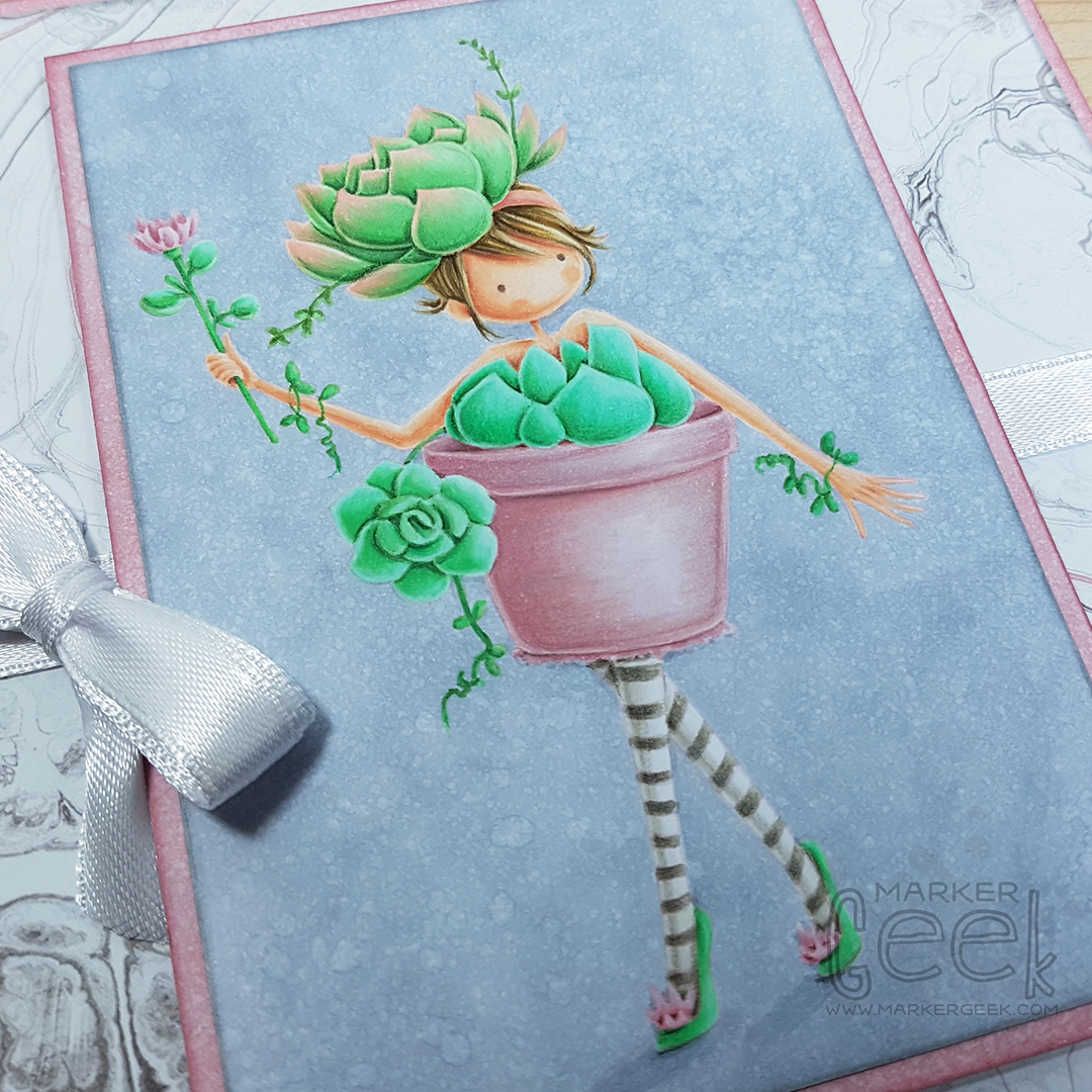 No Line Colouring Tutorial featuring Stamping Bella Susie the Succulent