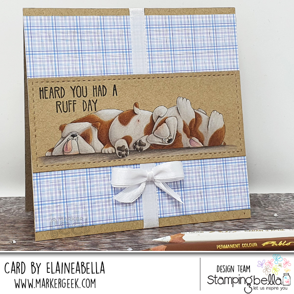 Coloured Pencil Bulldog Video & Card featuring Stamping Bella Bully Trio stamp