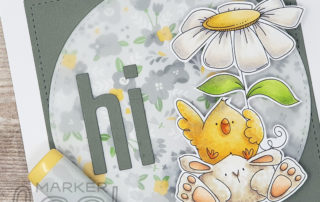 Stamping Bella Chick & Bunny Copic Colouring Video