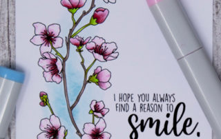 Copic marker colouring video and card inspiration featuring the Stamping Bella Cherry Blossom Branch stamp set.