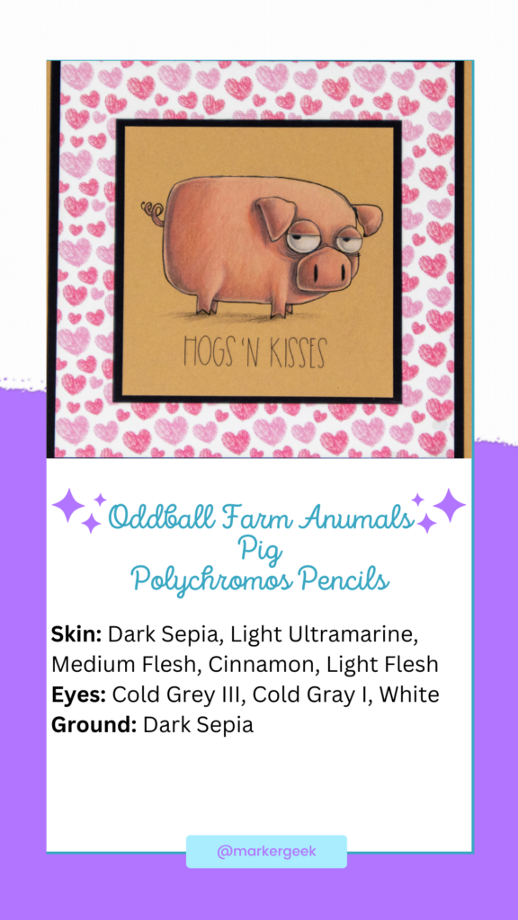 Coloured pencil colouring video & inspiration for Stamping Bella Oddball Farm Animals Pig rubber stamp coloured using Faber-Castell Polychromos pencils.