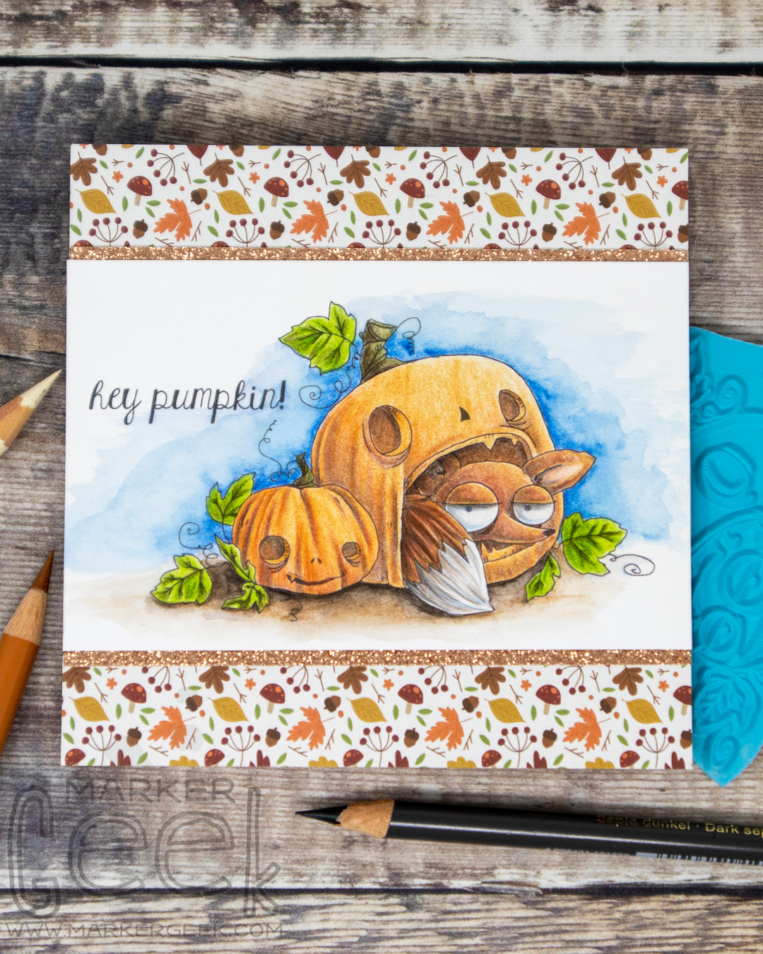 Coloured pencil coloured card inspiration & video featuring the Stamping Bella Foxy in the Pumpkin rubber stamp set & Polychromos pencils.