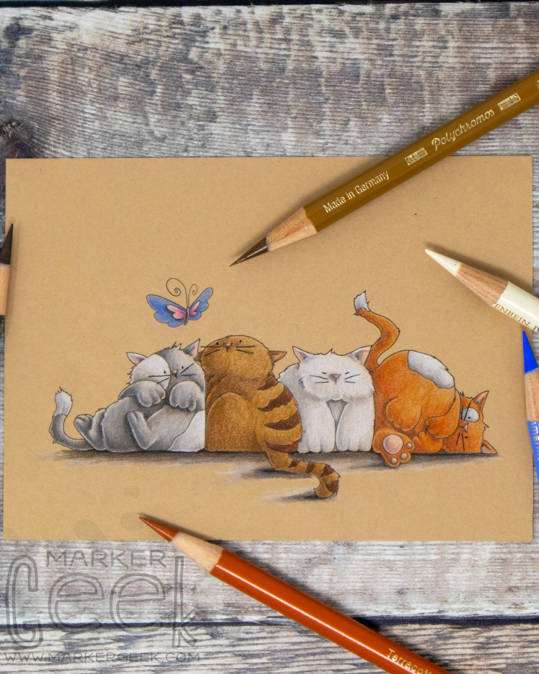 Coloured pencil coloured card inspiration & video featuring the Stamping Bella Squishy Cats rubber stamp set & Faber-Castell Polychromos pencils.
