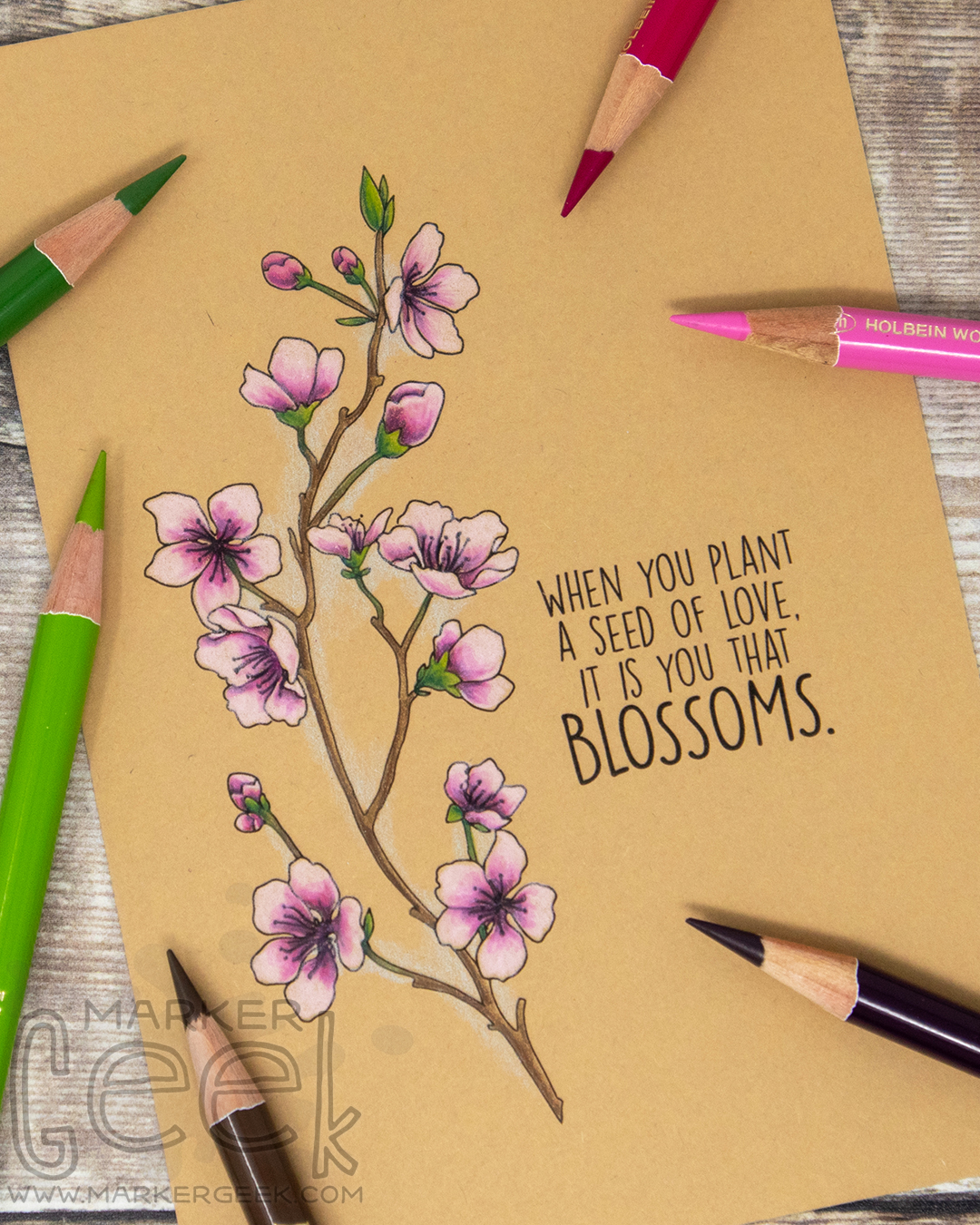 Coloured pencil coloured card inspiration & video featuring the Stamping Bella Cherry Blossom Branch rubber stamp set & Holbein Artist pencils.