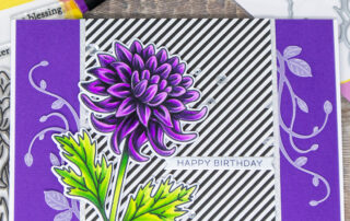 Alcohol marker coloured floral card and colouring video featuring OLO markers and Waffle Flower Sketched Chrysanthemum clear stamp set.