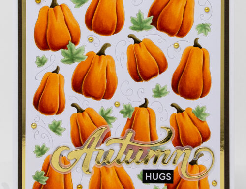 Pumpkin Patch Panel Cards