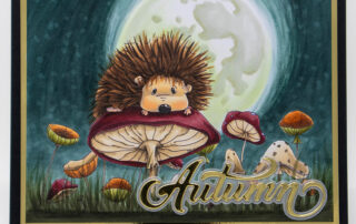 Copic marker coloured autumn night scene card inspiration & video featuring Stamping Bella Sweet Mushroom Hedgie & Mushroom Border stamps.