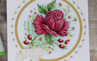 Handmade sympathy card inspiration & Copic marker no line colouring video featuring Marcella Hawley Power Poppy Rose & Chamomile digital stamp.