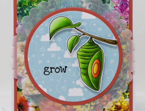 Sweet November Stamps Take Flight Chrysalis Card & Copic Video