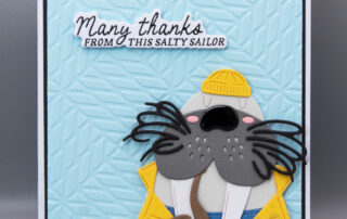 Handmade card inspiration featuring Spellbinders June 2025 Club of the Month "Shipmates" Small Die Set, "Mariner's Weave" Embossing Folder & "Anchors Away" clear stamp and die set.