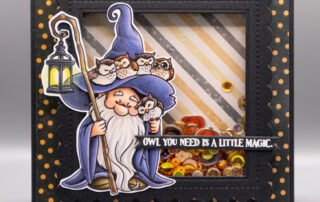 Shaker card inspiration & Copic marker colouring video featuring Sweet November Stamps Magnus the Wizard clear stamp set & Shaker Mix.