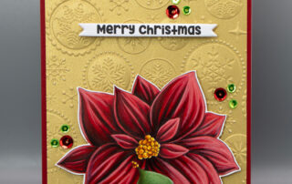 Christmas card inspiration & Copic marker colouring video featuring Stamping Bella Bundle Girl with Poinsettia rubber stamp.